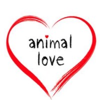 Online health courses by a qualified vet. Animal Love online health courses for dogs, cats and small furries. https://www.animalloveonline.co.uk